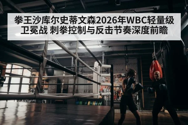 boxer training gym
