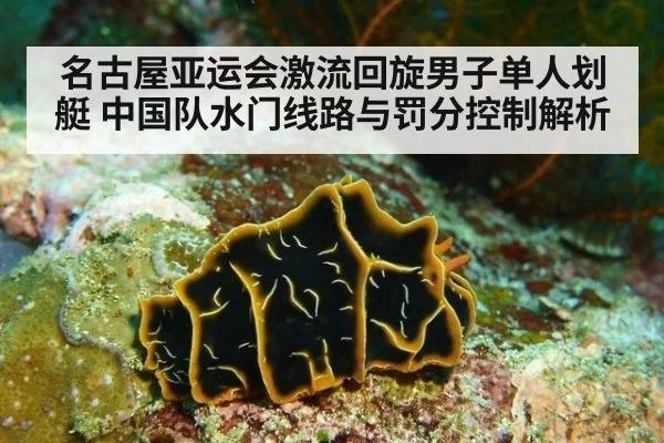 名古屋亚运会激流回旋男子单人划艇 中国队水门线路与罚分控制解析